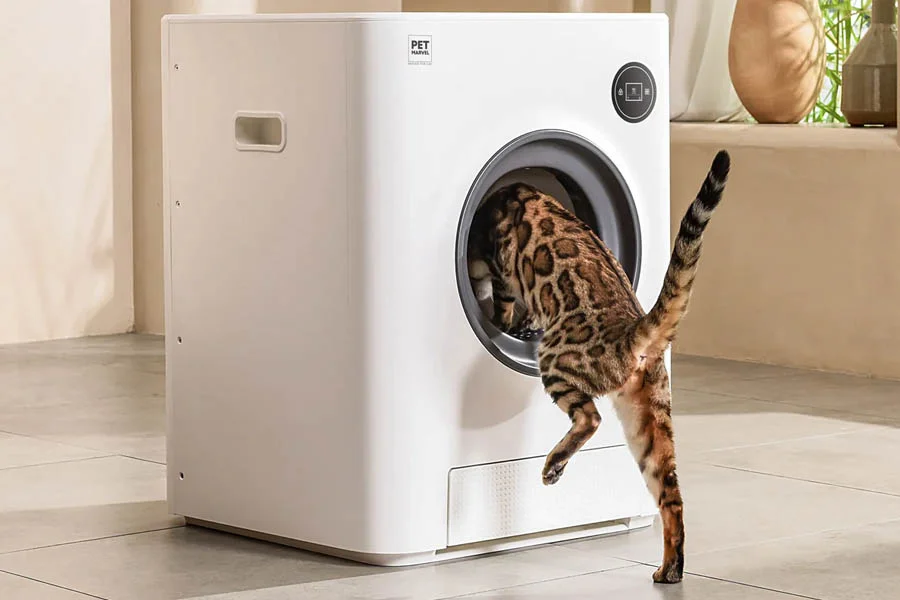 automated litter boxes